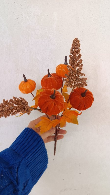 ضمه ورد القرع المخمل القصير